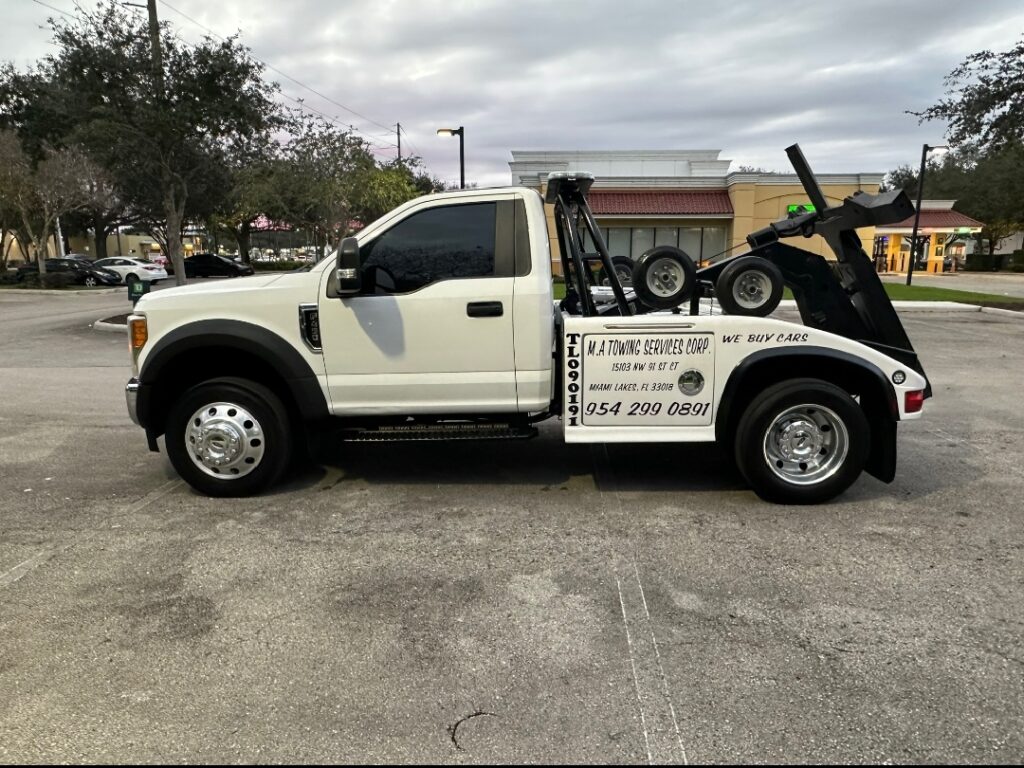 1769539630060 1769539630060